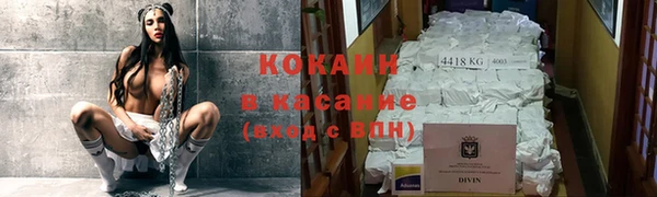 хмурый Алексин
