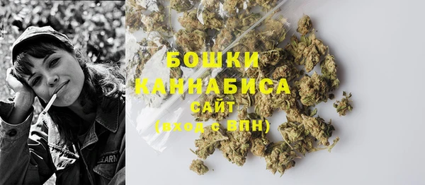 соль ск Осинники