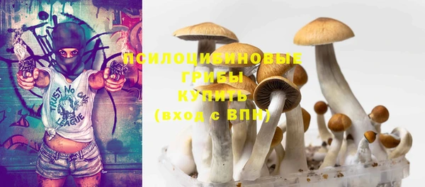 герыч Осташков